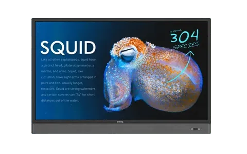 монитор BenQ RP553K